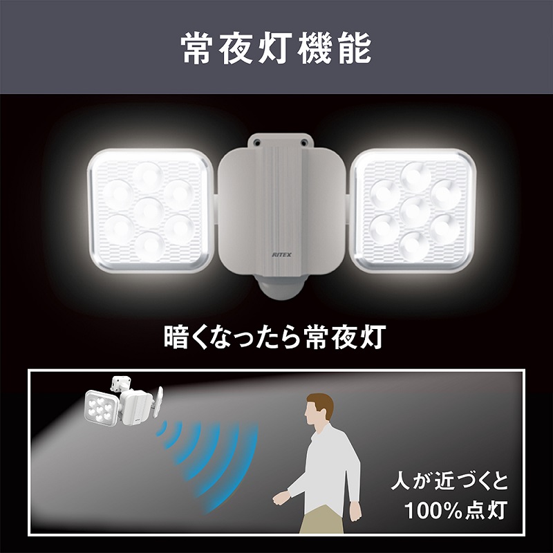 RITEX S-220L 5W×2灯 フリーアーム式LEDソーラーセンサーライト【2402O10808】