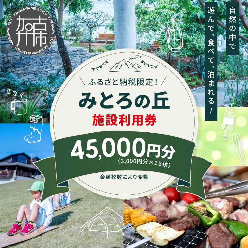 遊んで、食べて、泊まれる！「みとろの丘」ふるさと納税限定利用券(3000円×15枚)《 体験 自然 宿泊券 チケット クーポン 》【2418L14803】