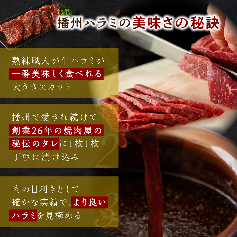 播州で愛される秘伝の焼肉タレ漬け牛肉 播州ハラミ肉 1kg(200g×5パック)【3ヶ月定期便】《 肉 食品 焼肉 やわらか ハラミ 焼肉セット バーベキュー BBQセット 定期便 》【2404A00429】