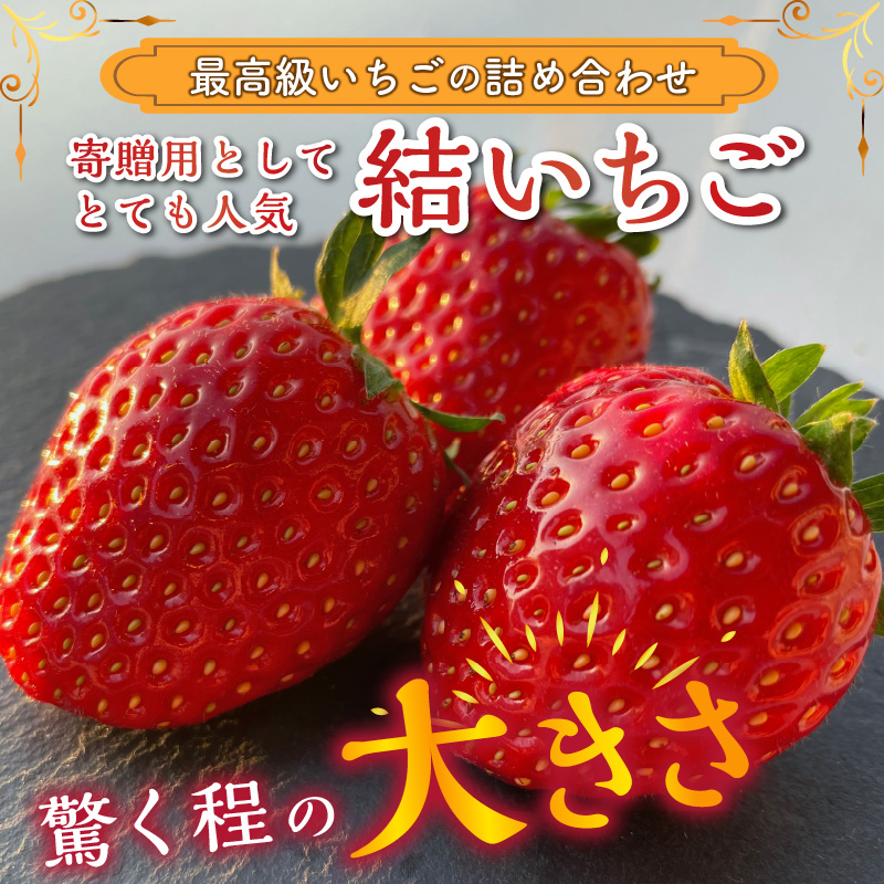 ★先行予約★結いちご(2パック入)[12月下旬より順次発送] 《 いちご 大粒 苺 フルーツ 果物 フルーツ工房はたや ふるさと納税いちご イチゴ 高級 国産 送料無料 》【2402C09706】