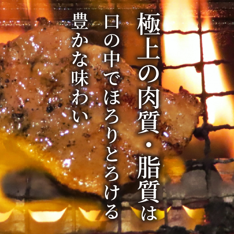 志方牛切り落とし(700g)《 国産 牛肉 牛 国産牛 切り落とし 小間切れ お手軽 お取り寄せ 志方牛 送料無料 》【2401A00304】