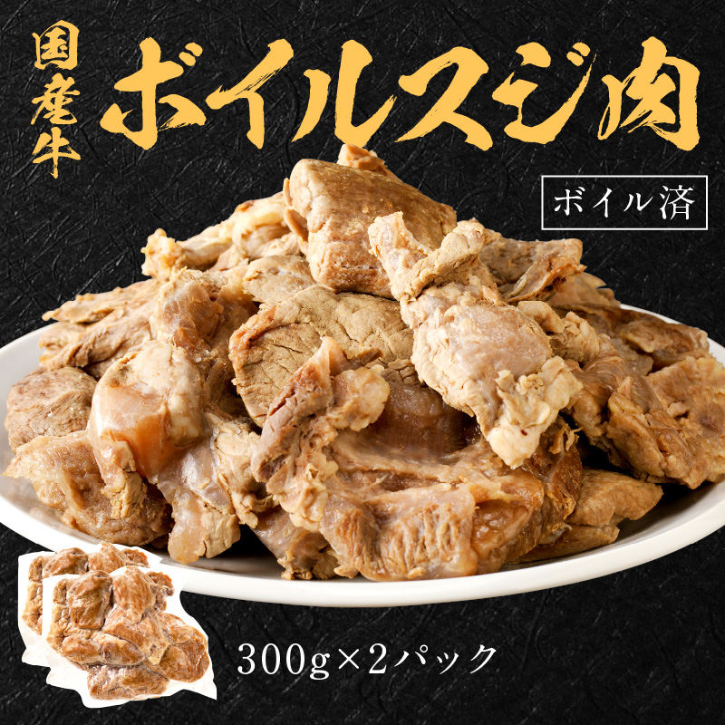 【国産牛】料理の味方セット(切り落とし・ボイルスジ肉)《 肉 牛肉 切り落とし肉 牛すじ 国産 セット 》【2301A09910】