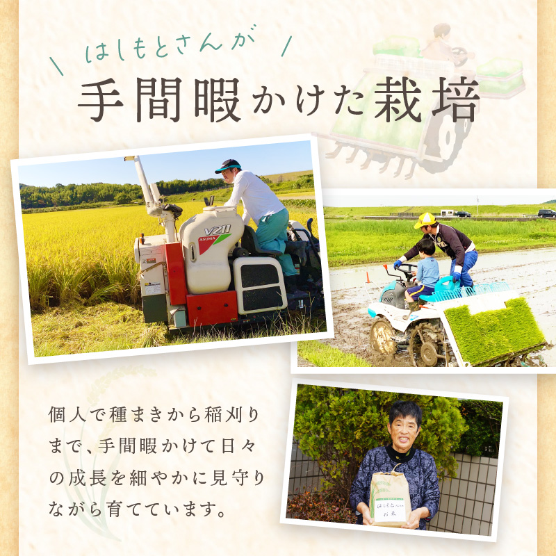 ã什å7å¹Žç£ 2025幎11æããé æ¬¡çºéãã¯ãããšããã¡ã®ãç±³(5kg)ã ãç±³ ç±³ ãããã«ãª 粟米 ãç±³5kg ãç±³5ãã ãã¯ã ã飯 ãã2501B14301ã