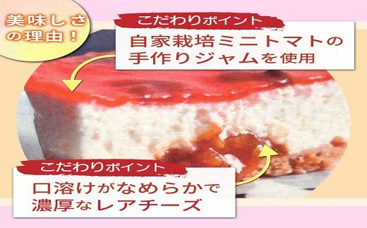 とまこ（トマトのレアチーズケーキ）80g×12個【2401H08701】