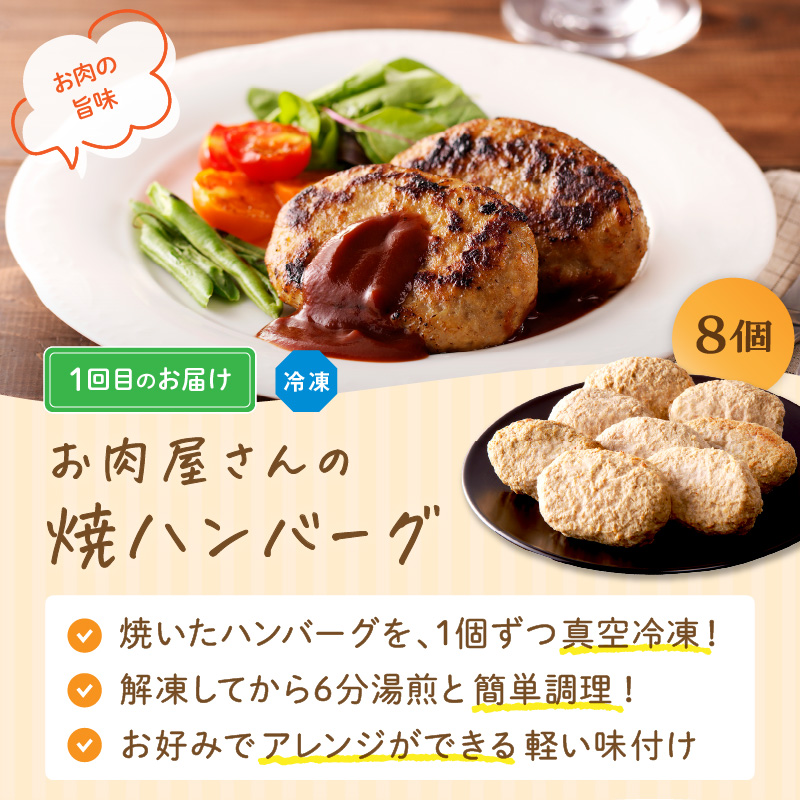 「肉のまち加古川」精肉店大浦ミートの本気の加工品！《 ハンバーグ カレー 定期便 惣菜 簡単調理 手軽 おかず 》【2501I00201】