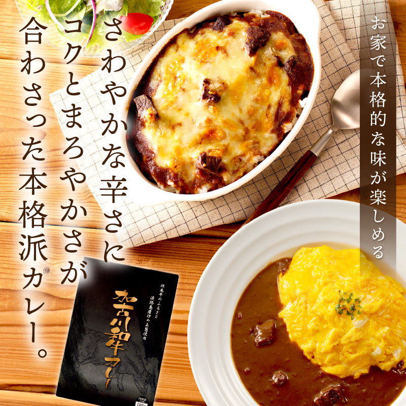 加古川和牛カレー(6食入)《 おすすめ カレー 人気 和牛カレー カレーメシ レトルト おいしい お取り寄せ ギフト 一人暮らし 簡単調理 仕送り 時短 送料無料 》【2401I00302】