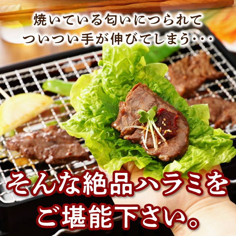 播州で愛される秘伝の焼肉タレ漬け牛肉 播州ハラミ肉 1kg(200g×5パック)【3ヶ月定期便】《 肉 食品 焼肉 やわらか ハラミ 焼肉セット バーベキュー BBQセット 定期便 》【2404A00429】