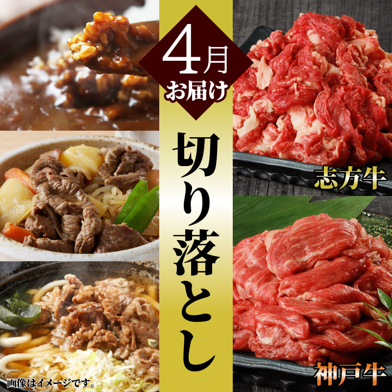 神戸牛・志方牛食べ比べセット(定期便)《 神戸牛 志方牛 牛肉 定期便 切り落とし カルビ 》【2410A00223】