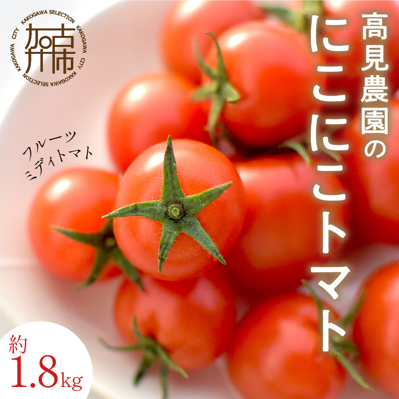 高見農園のニコニコトマト（フルーツミディトマト）約1.8kg