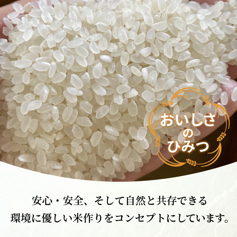 お米【神喜舞】精米 5kg [令和６年産]《 神喜米 お米 精米 5キロ 米 おこめ 国産 送料無料 ヒノヒカリ 》【2401B08412】