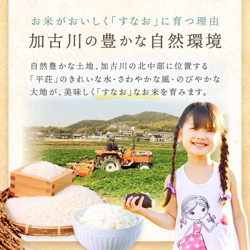 【令和7年産 2025年11月より順次発送】はしもとさんちのお米(10kg)《 お米 米 ヒノヒカリ 精米 お米10kg お米10キロ ごはん ご飯 》【2503B14302】