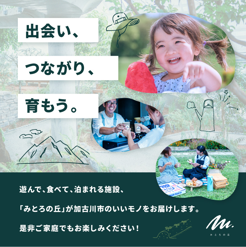 遊んで、食べて、泊まれる！「みとろの丘」加古川の恵みセットA《 いちごジャム 玄米 グラノーラ ピクルス のり 海苔 セット 》【2401I14805】