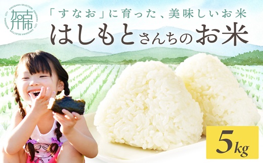 【令和7年産 2025年11月より順次発送】はしもとさんちのお米(5kg)《 お米 米 ヒノヒカリ 精米 お米5kg お米5キロ ごはん ご飯 》【2501B14301】