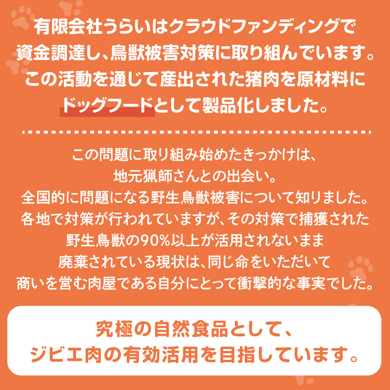 数量限定！ワイルドドッグフード（8個入り）