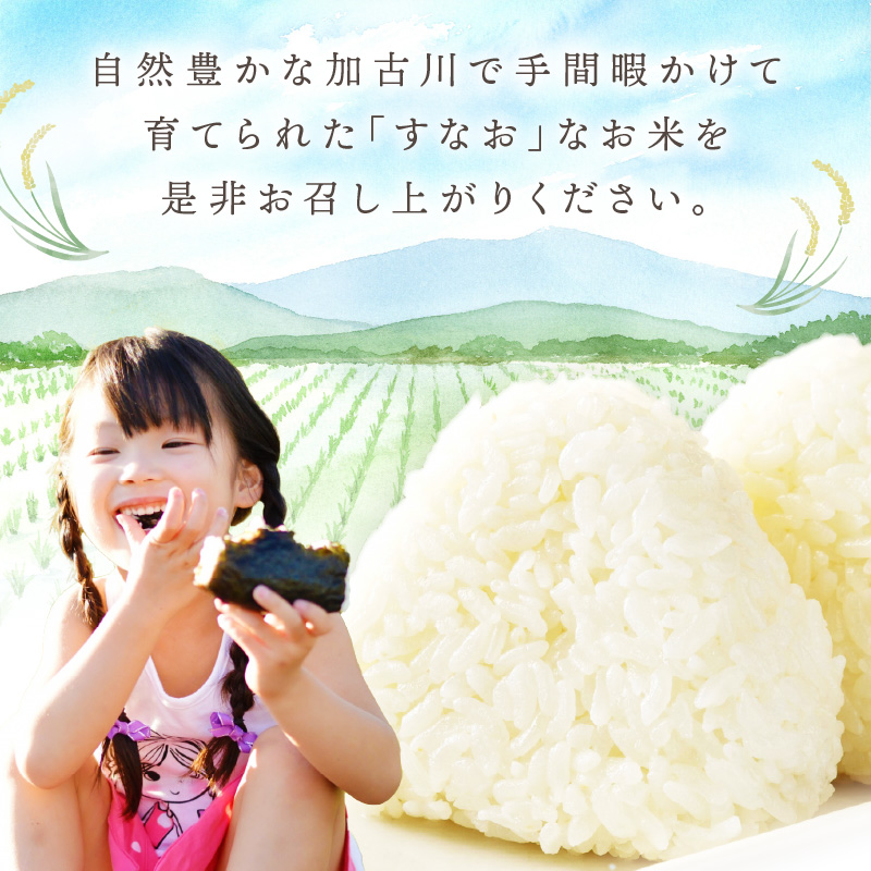 【令和7年産 2025年11月より順次発送】はしもとさんちのお米(10kg)《 お米 米 ヒノヒカリ 精米 お米10kg お米10キロ ごはん ご飯 》【2503B14302】