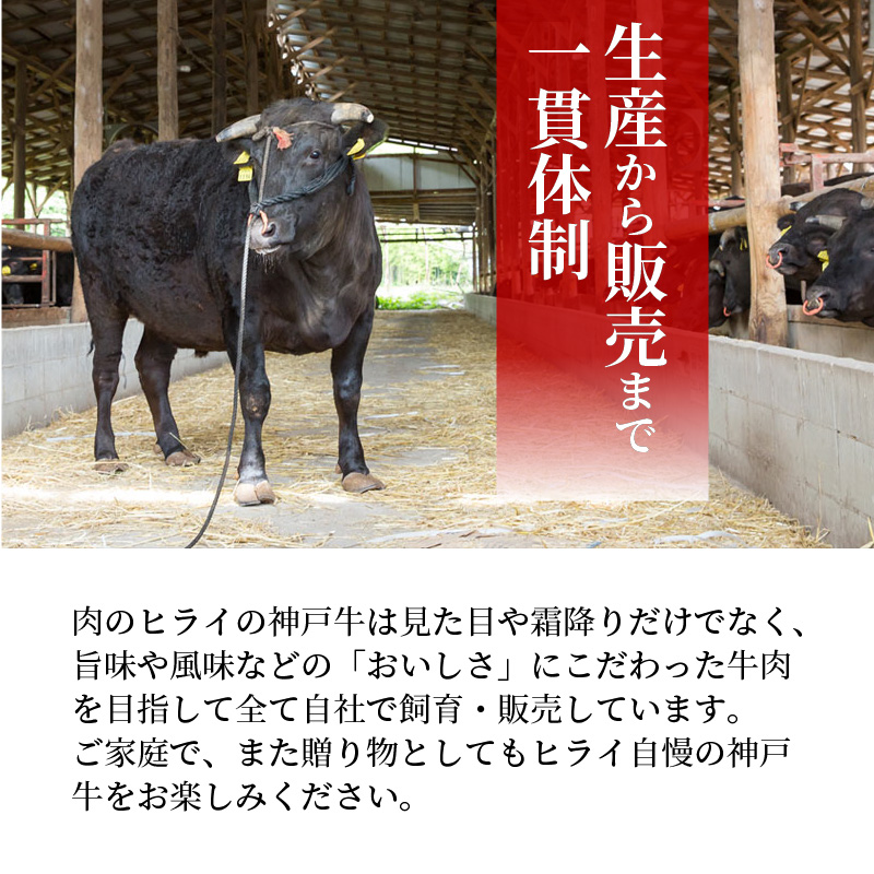 神戸牛サーロインステーキ(200g×3枚)《 肉 牛肉 牛 神戸牛 国産牛 サーロイン ステーキ 》【2407A00117】