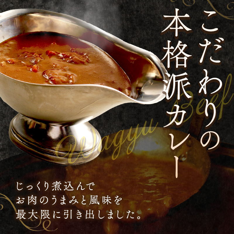 加古川和牛カレー(6食入)《 おすすめ カレー 人気 和牛カレー カレーメシ レトルト おいしい お取り寄せ ギフト 一人暮らし 簡単調理 仕送り 時短 送料無料 》【2401I00302】