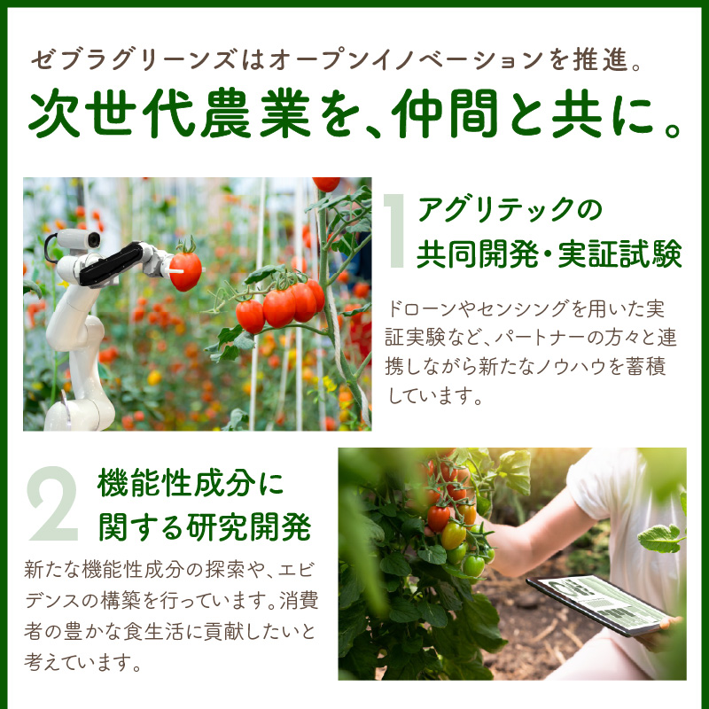 【限定出荷】