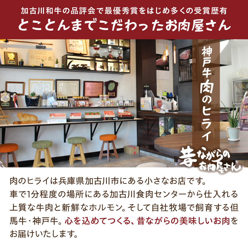 【昔ながらのお肉屋さん】ヒライの手造りポークウインナー 500g《 ソーセージ 送料無料 ウインナー ウィンナーソーセージ 国産 冷凍 お弁当 おつまみ豚肉 ポークウインナー 》【2400I00132】