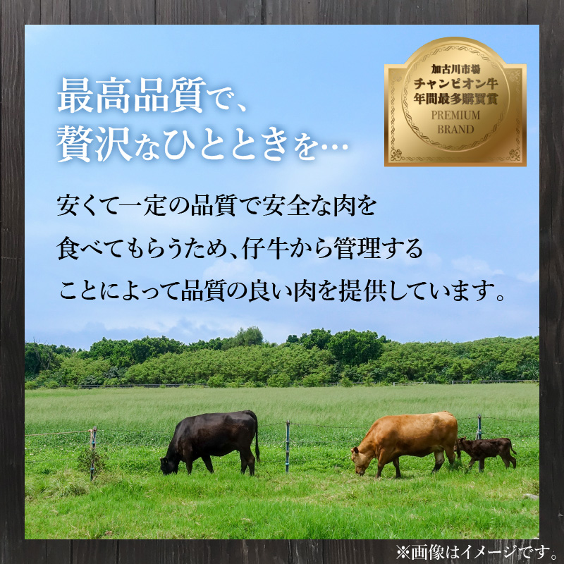 「和牛」切り落とし(400g×2パック)【3ヶ月定期便】《 和牛 切り落とし 志方亭 焼肉 肉 牛肉 小分け 冷凍 定期便 おすすめ 》【2403A00413】