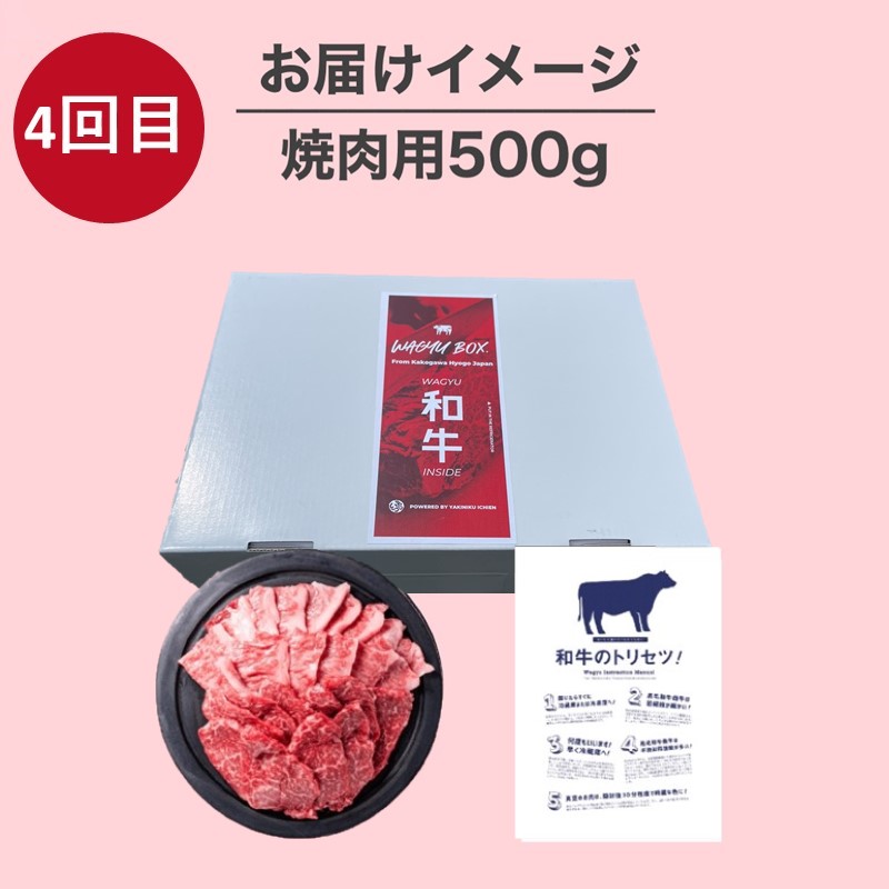 OMAKASE BOX 肉のまち加古川 プリンセス和牛定期便(全4回)《 肉 定期便 牛肉 ステーキ しゃぶしゃぶ すき焼き用 焼肉 おすすめ 贈答 プレゼント 》【2407A11504】