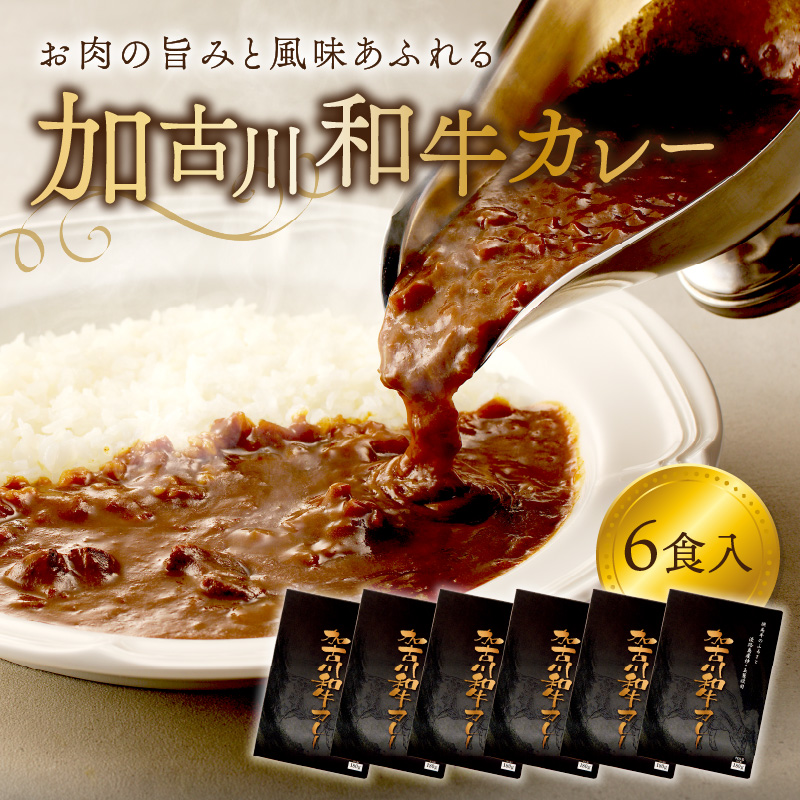 加古川和牛カレー(6食入)《 おすすめ カレー 人気 和牛カレー カレーメシ レトルト おいしい お取り寄せ ギフト 一人暮らし 簡単調理 仕送り 時短 送料無料 》【2401I00302】