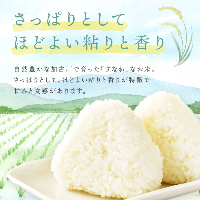 ã什å7å¹Žç£ 2025幎11æããé æ¬¡çºéãã¯ãããšããã¡ã®ãç±³(5kg)ã ãç±³ ç±³ ãããã«ãª 粟米 ãç±³5kg ãç±³5ãã ãã¯ã ã飯 ãã2501B14301ã