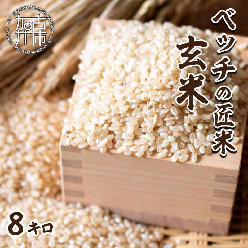 【緑肥作物へアリーベッチ】ベッチの匠米(玄米)8㎏