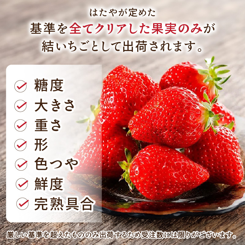 結いちご(2パック入)[12月下旬より順次発送] 《 いちご 大粒 苺 フルーツ 果物 フルーツ工房はたや ふるさと納税いちご イチゴ 高級 国産 送料無料 》【2402C09706】
