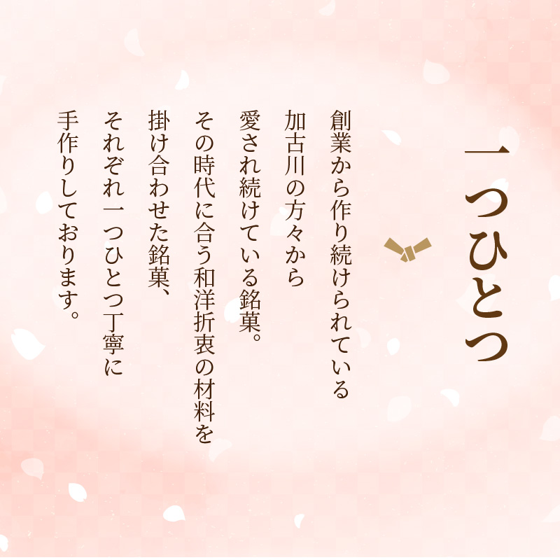 加古川風菓撰菓子博「金賞」受賞詰め合わせ・直火炊き羊羹セット【2401H01702】