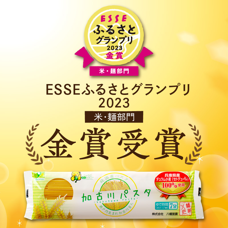 加古川パスタ300g×2袋セット《 国産 小分け 小麦 麺 セトデュール デュラムセモリナ 保存食 パスタ スパゲッティ スパゲティ セット 》【2400J04609】