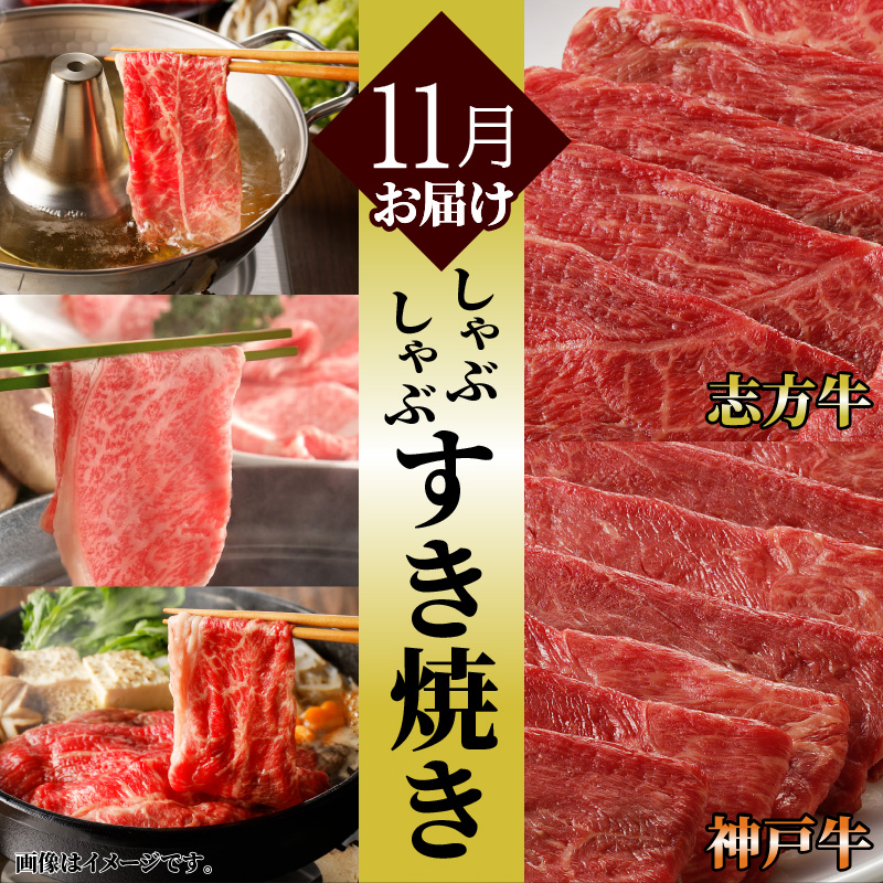 神戸牛・志方牛食べ比べセット(定期便)《 神戸牛 志方牛 牛肉 定期便 切り落とし カルビ 》【2410A00223】