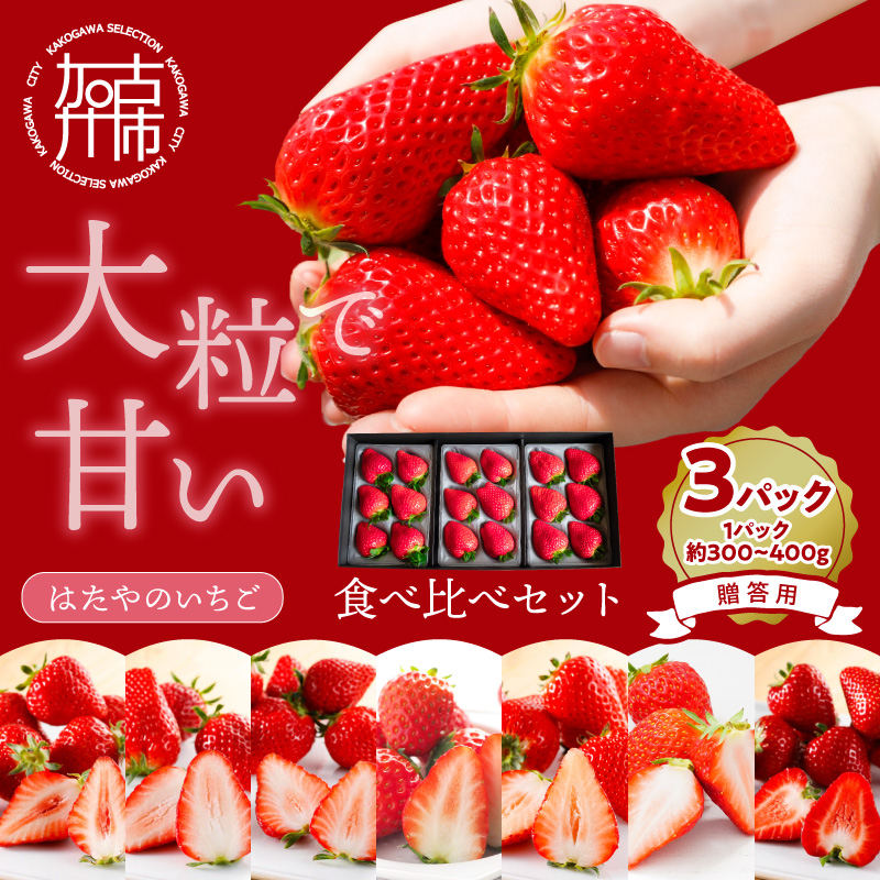 贈答用いちご 3品種食べ比べセット(3パック入)《 いちご 苺 イチゴ フルーツ 果物 国産 フルーツ工房はたや あまえくぼ 章姫 あまクイーン ロイヤルクイーン ぽりっちご あまおとめ 堅しろう 》【2502C09701】