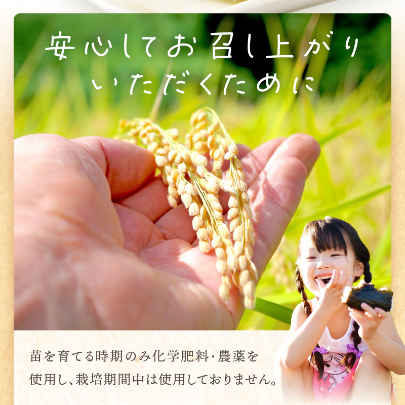 ã什å7å¹Žç£ 2025幎11æããé æ¬¡çºéãã¯ãããšããã¡ã®ãç±³(5kg)ã ãç±³ ç±³ ãããã«ãª 粟米 ãç±³5kg ãç±³5ãã ãã¯ã ã飯 ãã2501B14301ã