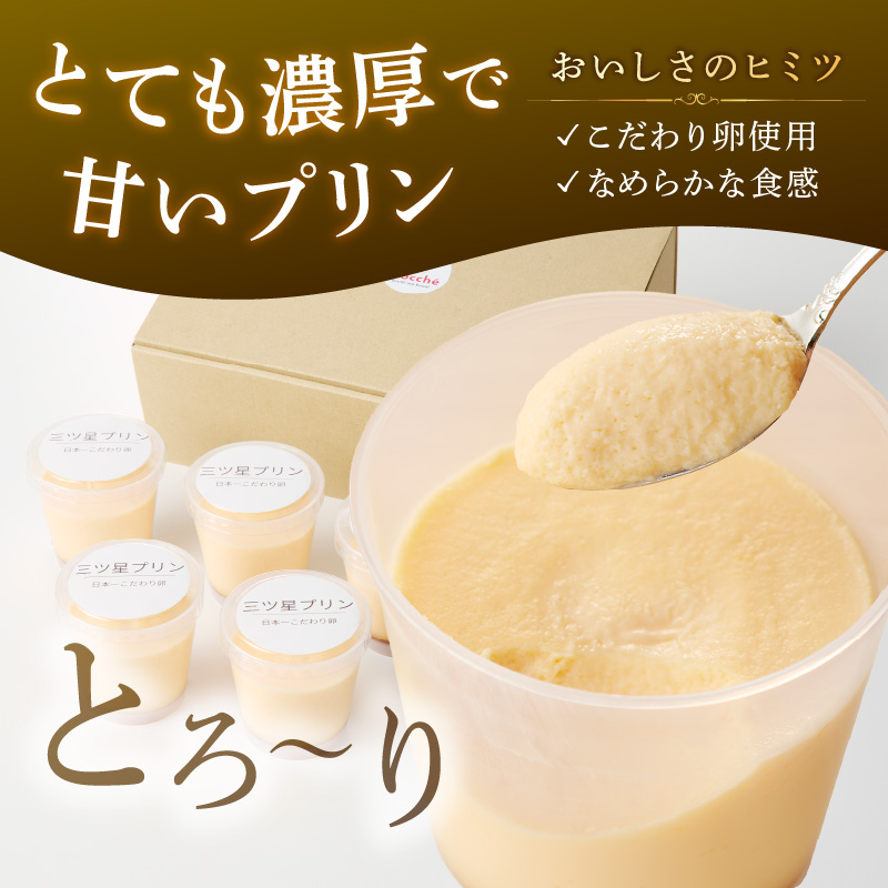 【五つ星ひょうご認定】日本一こだわりたまごの三ツ星プリン(125g×8個)《 プリン 三ツ星プリン こだわりたまご お取り寄せ スイーツ お菓子 デザート 》【2401H12608】