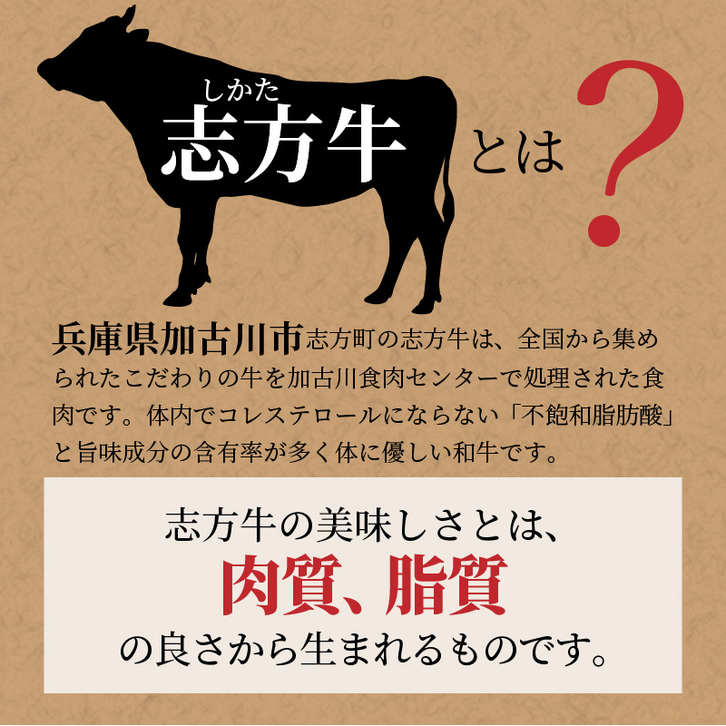 志方牛切り落とし定期便(700g×6ヶ月)《 定期便 肉 国産 牛肉 牛 国産牛 切り落とし 小間切れ お手軽 おいしい お取り寄せ 志方牛 送料無料 》【2406A00307】