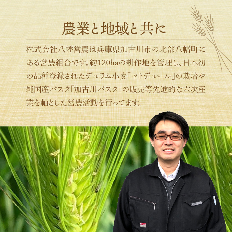 八幡厄神そばセット【2401J04602】