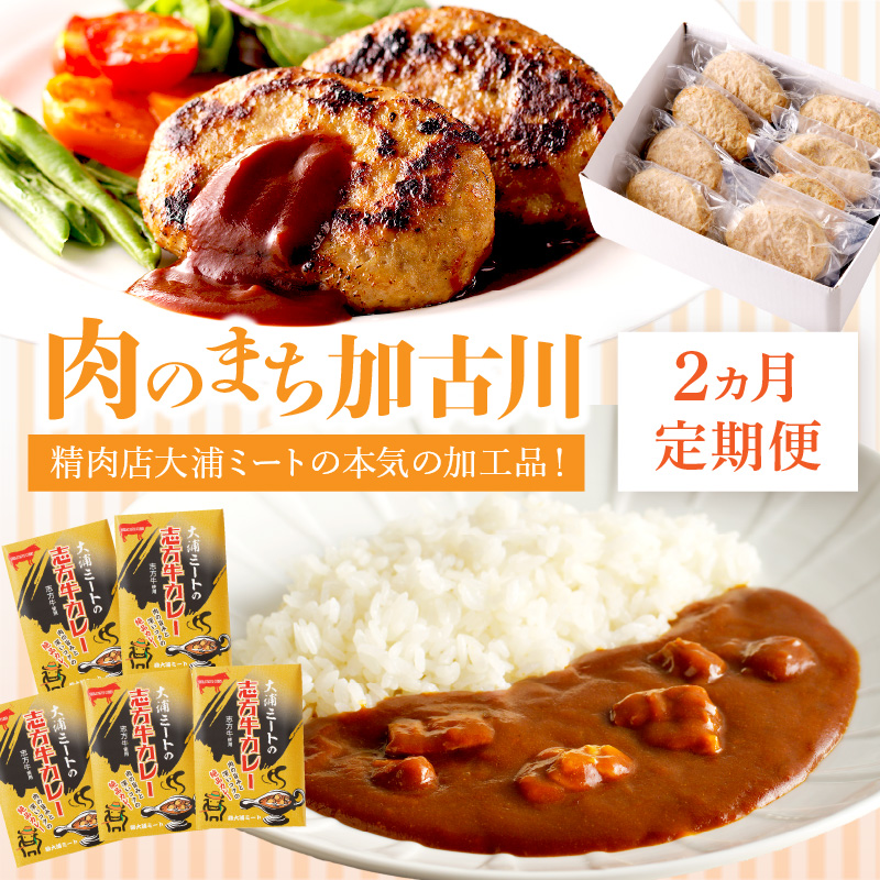 「肉のまち加古川」精肉店大浦ミートの本気の加工品！《 ハンバーグ カレー 定期便 惣菜 簡単調理 手軽 おかず 》【2501I00201】