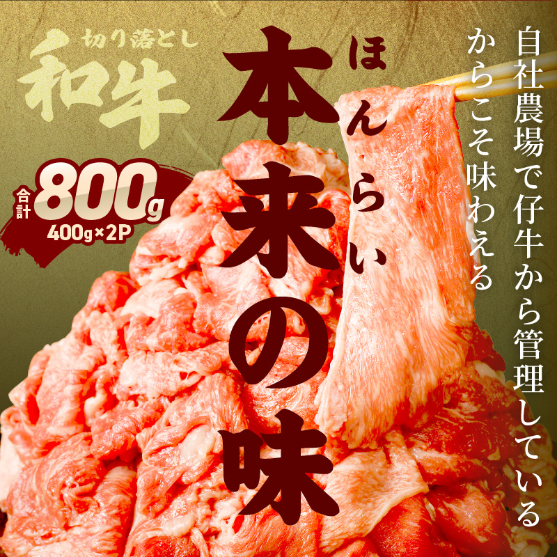 「和牛」切り落とし(400g×2パック)【3ヶ月定期便】《 和牛 切り落とし 志方亭 焼肉 肉 牛肉 小分け 冷凍 定期便 おすすめ 》【2403A00413】