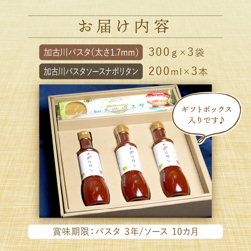 加古川パスタギフトセット《 パスタ 乾麺 国産小麦 国産 ギフトセット 詰め合わせ プレゼント 贈り物 スパゲッティ パスタソース ナポリタン ピザソース アレンジ 保存食 麺 加古川市 送料無料 ギフト 贈答用 八幡営農 オーマイ お歳暮 御歳暮 》【2401H04606】