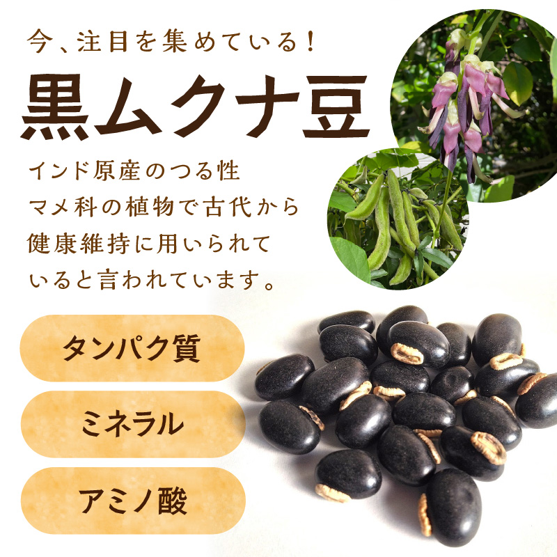人生まだまだ！黒ムクナ豆茶 ティーバッグ1.5g×30袋《 黒ムクナ豆 健康茶 香ばしい お茶 チャック付き ティーパック ティータイム 》【2400G02811】