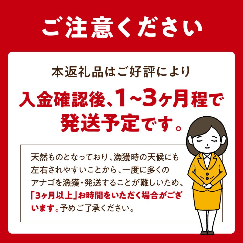 焼あなご(5〜8串)《 魚介類 アナゴ 穴子 あなご 焼きあなご 海鮮 天然 ふるさと納税 あなご 加古川市 パリパリ 美味しい 穴子丼 串焼き お取り寄せ 人気 ギフト プレゼント おすすめ 》【2406D00703】