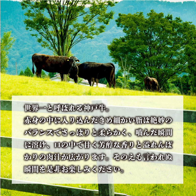 神戸牛サーロインステーキ(200g×3枚)《 肉 牛肉 牛 神戸牛 国産牛 サーロイン ステーキ 》【2407A00117】