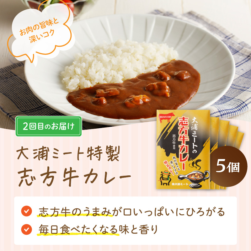 「肉のまち加古川」精肉店大浦ミートの本気の加工品！《 ハンバーグ カレー 定期便 惣菜 簡単調理 手軽 おかず 》【2501I00201】