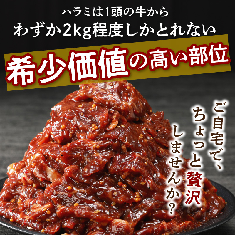 播州で愛される秘伝の焼肉タレ漬け牛肉 播州ハラミ肉 1kg(200g×5パック)【3ヶ月定期便】《 肉 食品 焼肉 やわらか ハラミ 焼肉セット バーベキュー BBQセット 定期便 》【2404A00429】