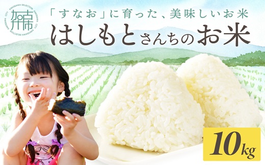 【令和7年産 2025年11月より順次発送】はしもとさんちのお米(10kg)《 お米 米 ヒノヒカリ 精米 お米10kg お米10キロ ごはん ご飯 》【2503B14302】