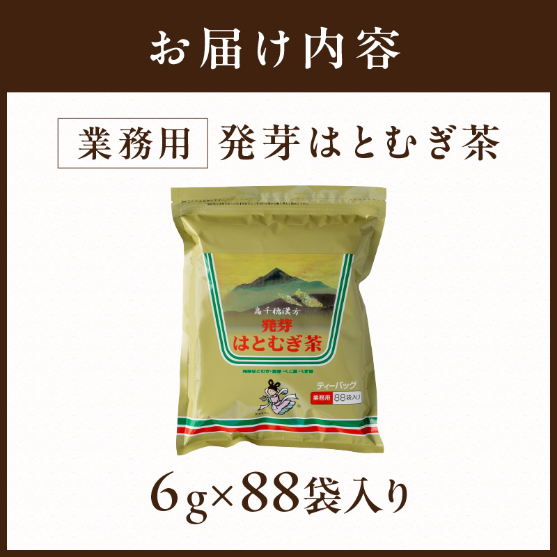 発芽はとむぎ茶 業務用《 ハトムギ茶 国産 はと麦茶 お茶 国産茶葉 ノンカフェイン 》【2400G15101】