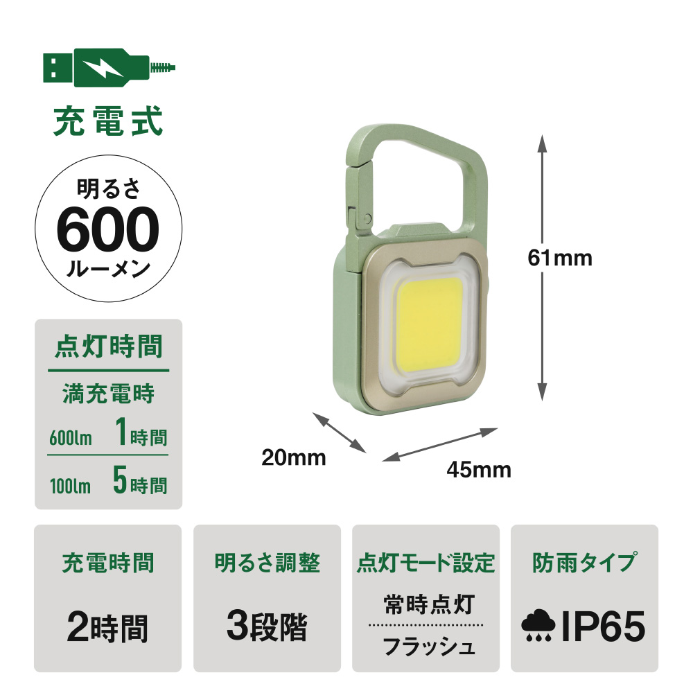 musashi WRC-24MG 充電式 ぴかりミニライト[ミントグリーンシャンパンゴールド]《 充電式 LED スーパーフラッシュライト ライト 防水 アウトドア 防犯 災害 》【2400O10832_01】