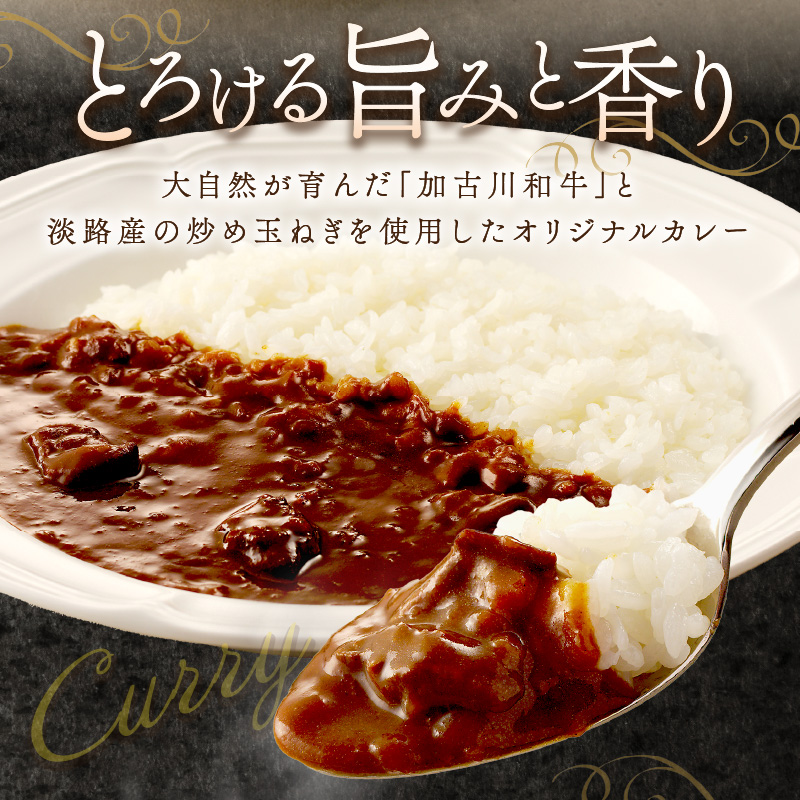 加古川和牛カレー(6食入)《 おすすめ カレー 人気 和牛カレー カレーメシ レトルト おいしい お取り寄せ ギフト 一人暮らし 簡単調理 仕送り 時短 送料無料 》【2401I00302】