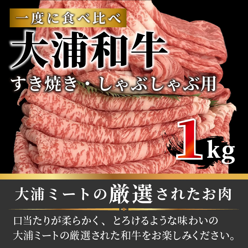 大浦和牛すきやき・しゃぶセット（1kg）【2405A00207】